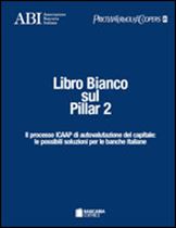 Immagine di Libro Bianco sul Pillar 2