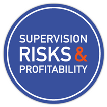 Immagine di Supervision, Risks & Profitability 2020